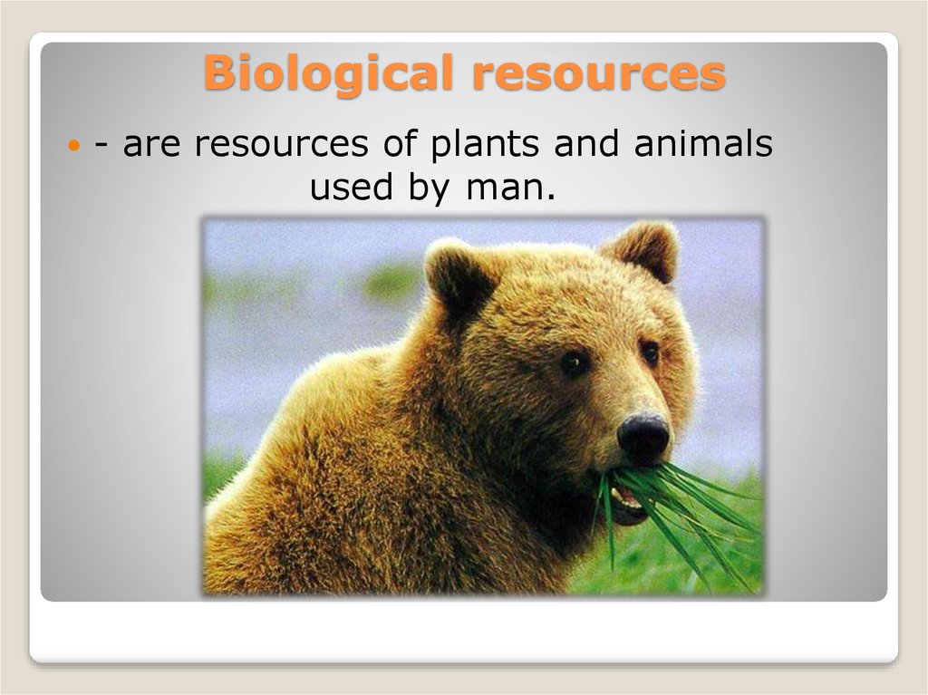 Biological resources