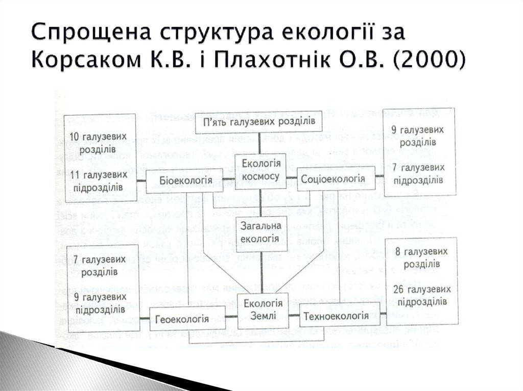 Спрощена структура екології за Корсаком К.В. і Плахотнік О.В. (2000)