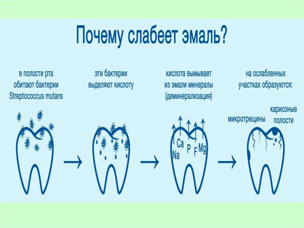 Эмаль зуба презентация