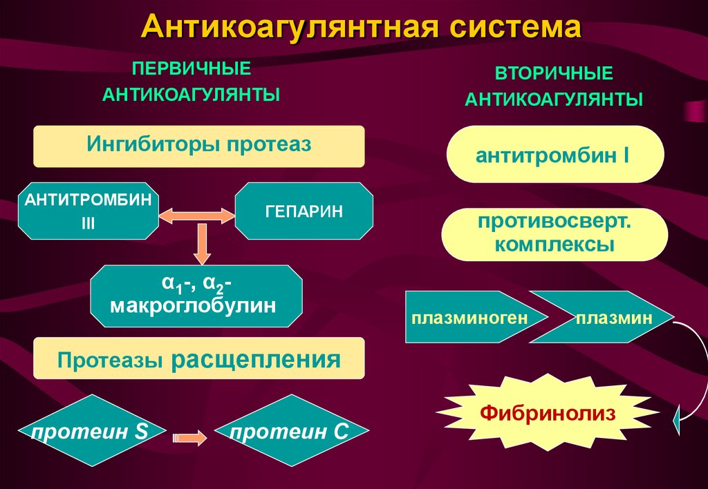 Естественные антикоагулянты. Антикоагулянтная система. Схема действия антикоагулянтов. Антикоагулянты системы крови это. Схема антикоагулянтной системы.