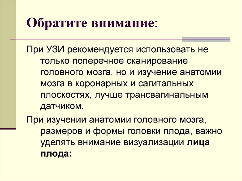 Пороки развития нервной системы