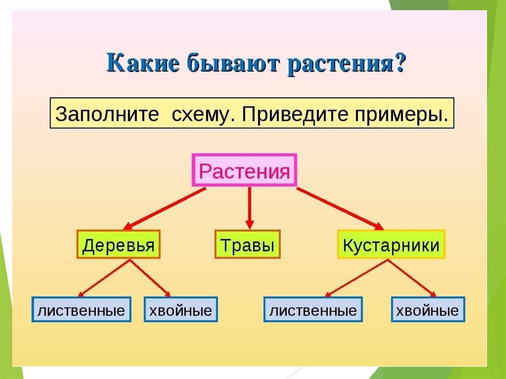 Виды растений презентация