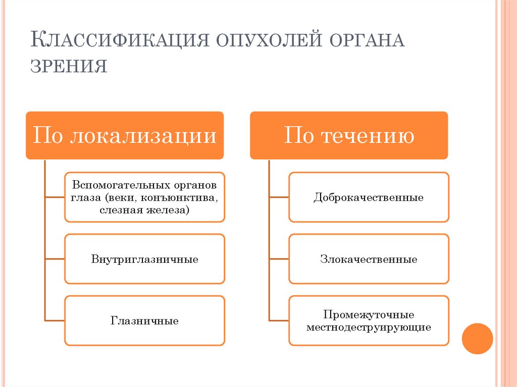 Классификация органов анатомия. Классификация органа зрения. Новообразования органа зрения. Новообразования глаза классификация. Опухоли глаза классификация.