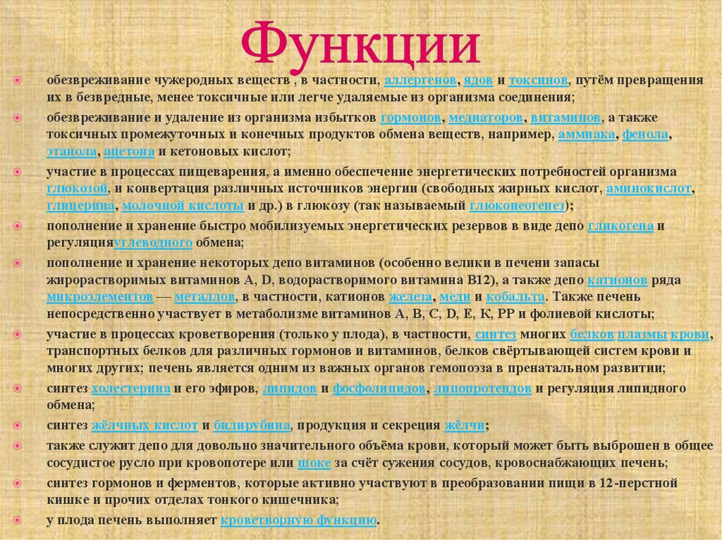 Презентация возрастные особенности развития пищеварительной системы