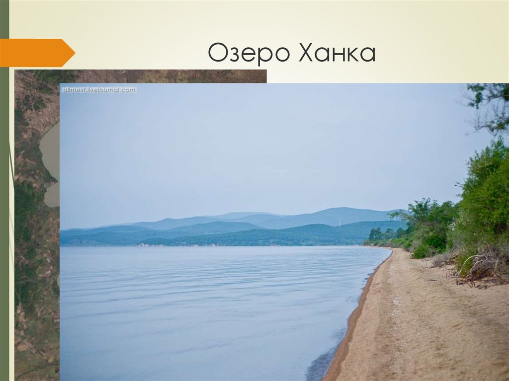 Значение озера ханка. Озеро ханка. Озеро ханка Приморский край. Озёрная котловина озера ханка. Озеро ханка Береговая линия.