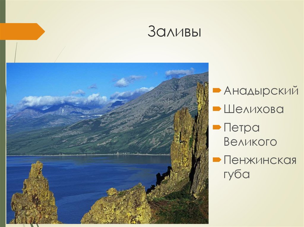 Какая природная особенность дальнего востока. Информация на тему Дальний Восток. Заливы Анадырский Шелихова Петра Великого. Дальний Восток проект. Сообщение о Дальнем востоке.