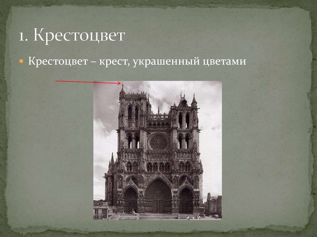 1. Крестоцвет