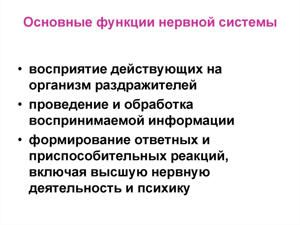 Основные функции нервной системы. Восприятие действующих на организм раздражителей это. Основные функции нервной системы восприятие. Функции нервов.