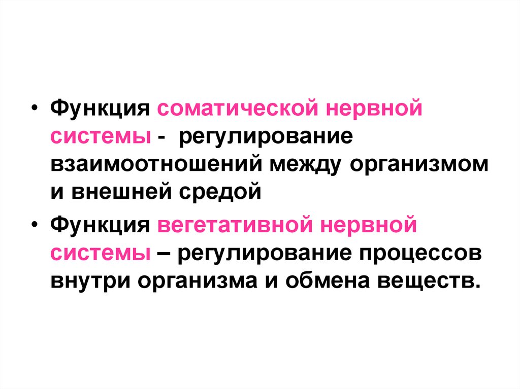 Функция сред. Функции соматической нервной системы. Соматическая система функции. Физиологические функции соматические и вегетативные. Регуляция соматической нервной системы.