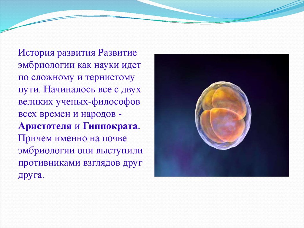 Кто считается основателем эмбриологии. История развития эмбриологии. Развитие эмбриологии как науки. Развитие эмбриологии презентация. Презентации на тему эмбриология.