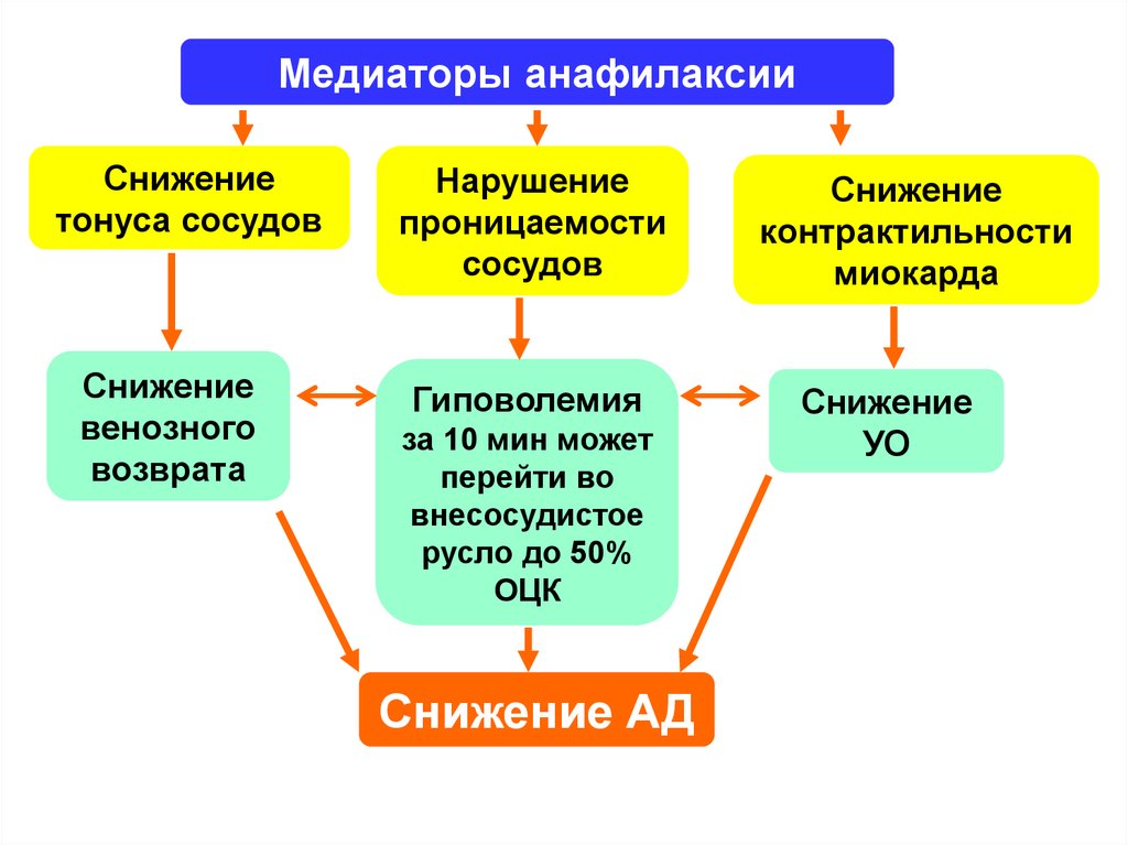 Стадии анафилактического шока