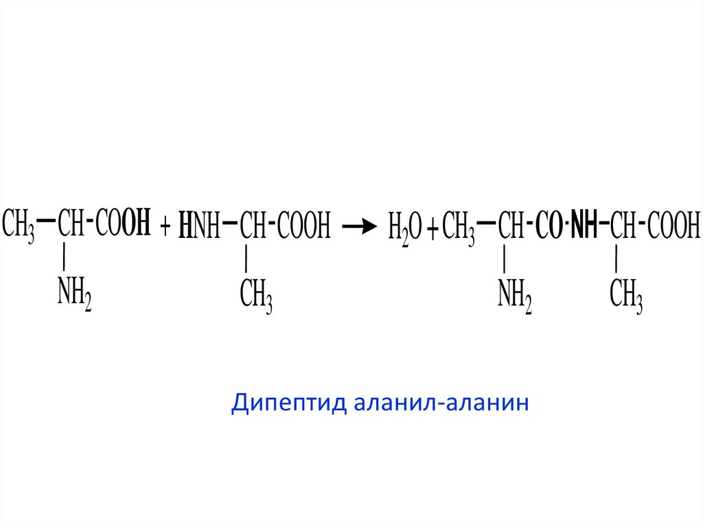 Аланилаланин. Дипептид аланилаланин. Аланин метионин дипептид. Дипептид формула. Структура дипептида.