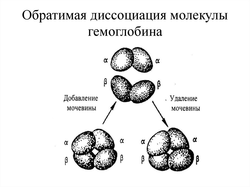 Диссоциация молекул