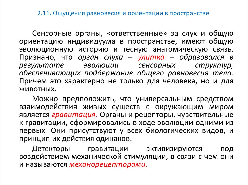 Ориентации человека в пространстве