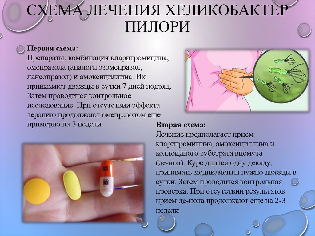 Схема лечения хеликобактерии