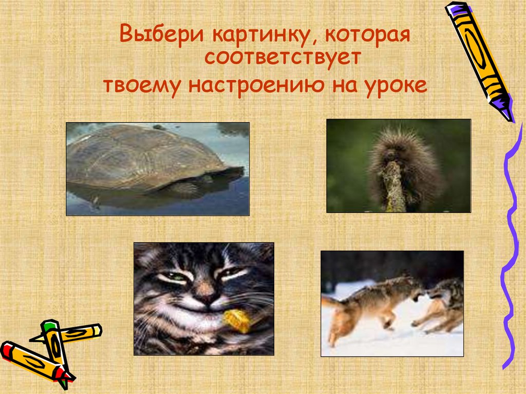 Выбери урок