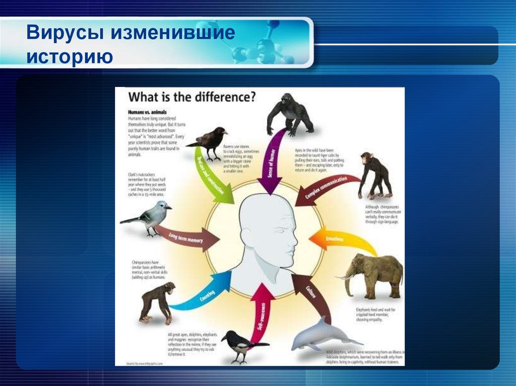 Изменяющая рассказы