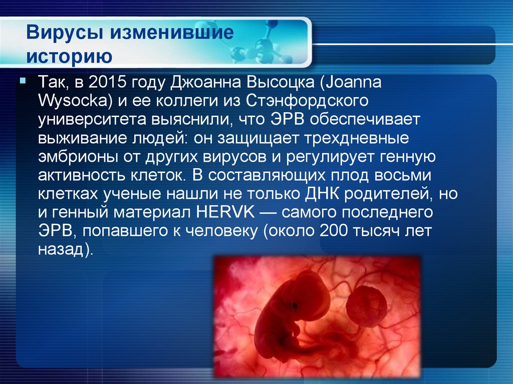 Вирусолюция. Строение вирусов - презентация онлайн