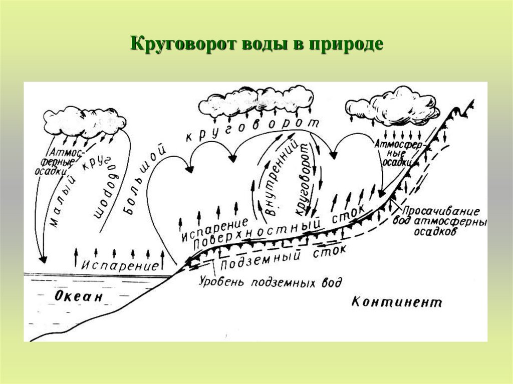 Схема малого и большого круговорота воды в природе