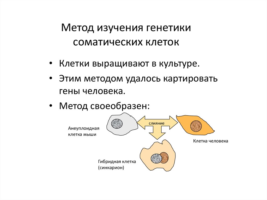 Изучение методов клеточной биологии