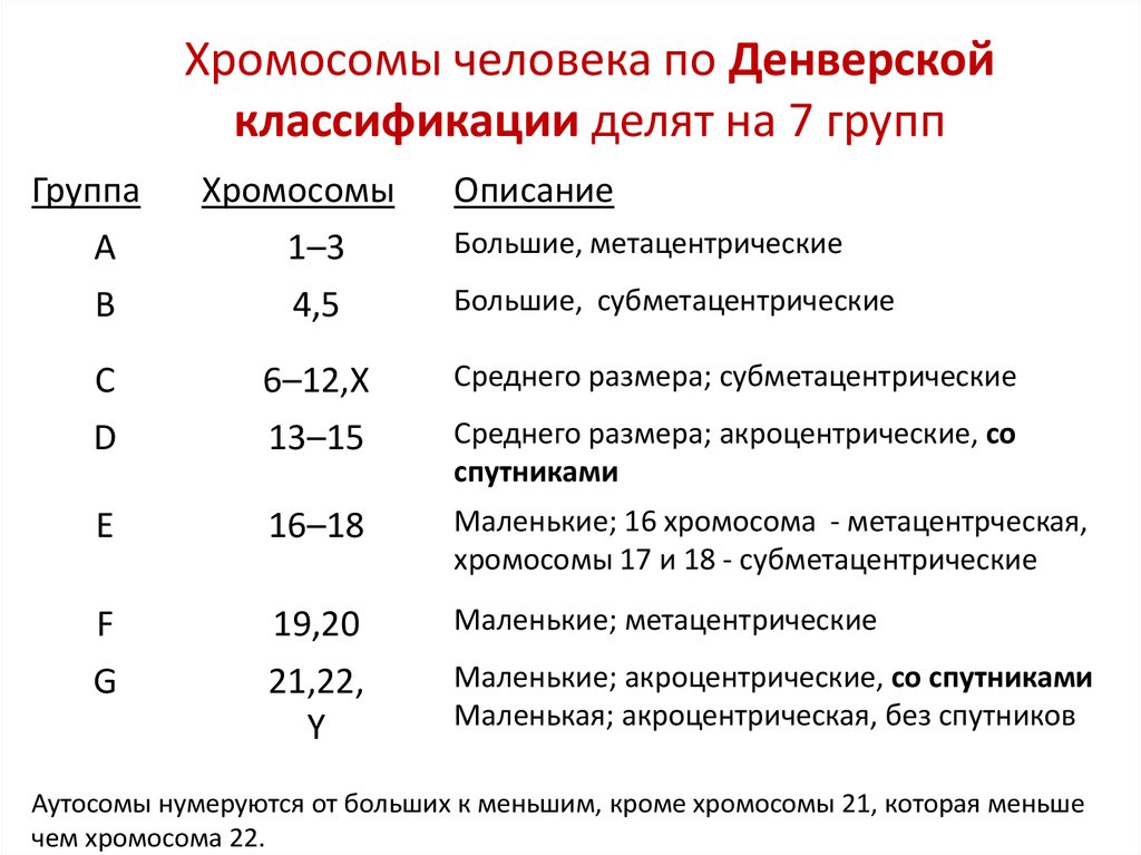 Характеристики хромосом человека