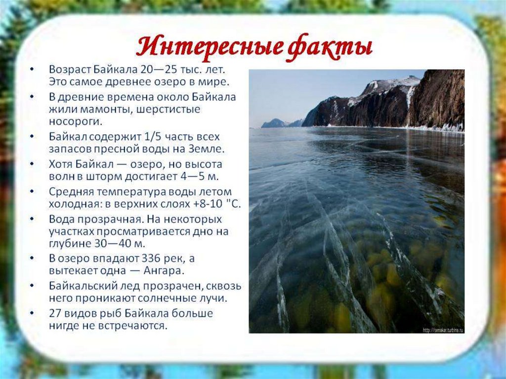 Древнее озеро в юго восточной части сибири. Озеро Байкал рассказ. Озеро Байкал интересные факты. Удивительные факты о Байкале. Интересные факты про озера.