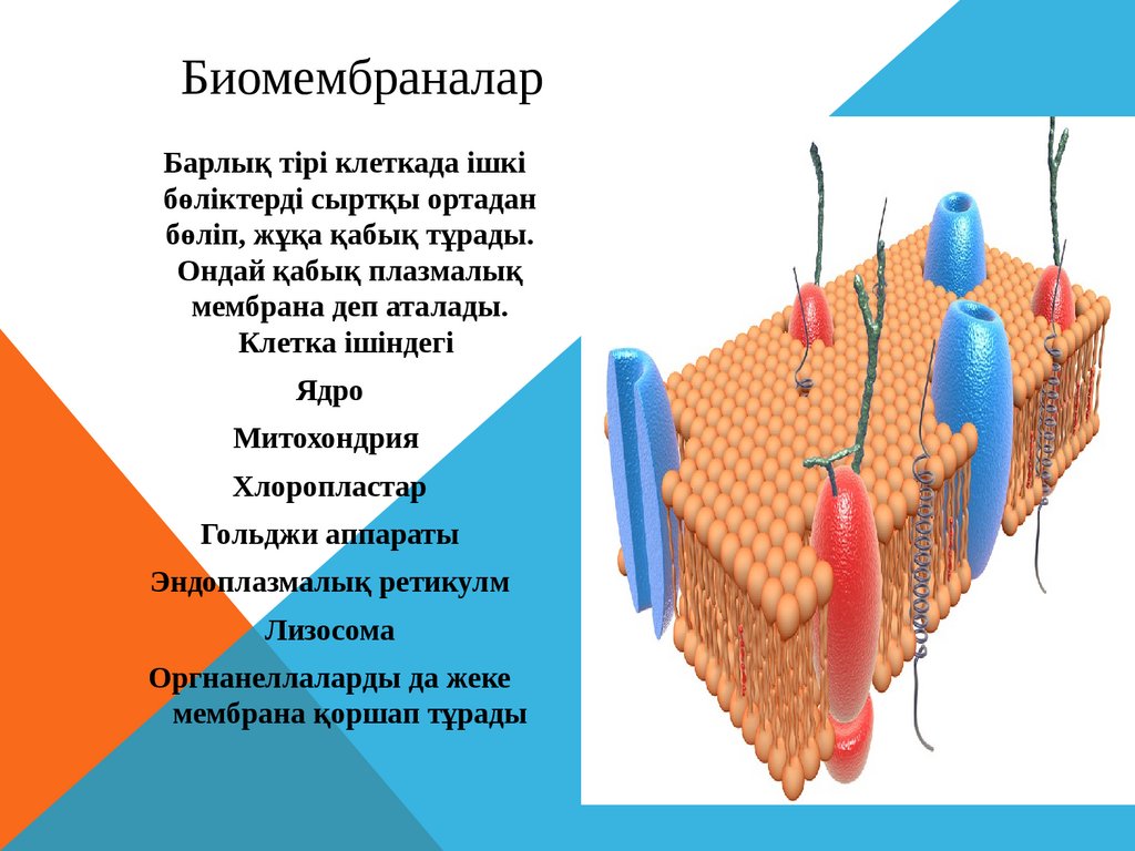 Плазмалық монитор дегеніміз не