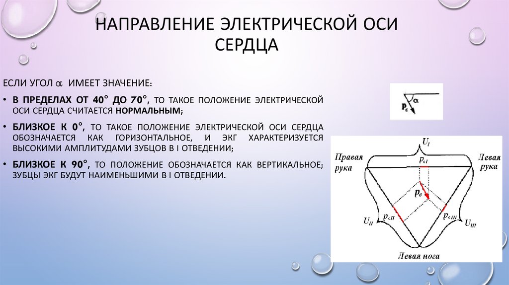 Ось сердца. Направление электрической оси. Направление оси сердца. Направление ЭОС. Направление ЭОС на ЭКГ.