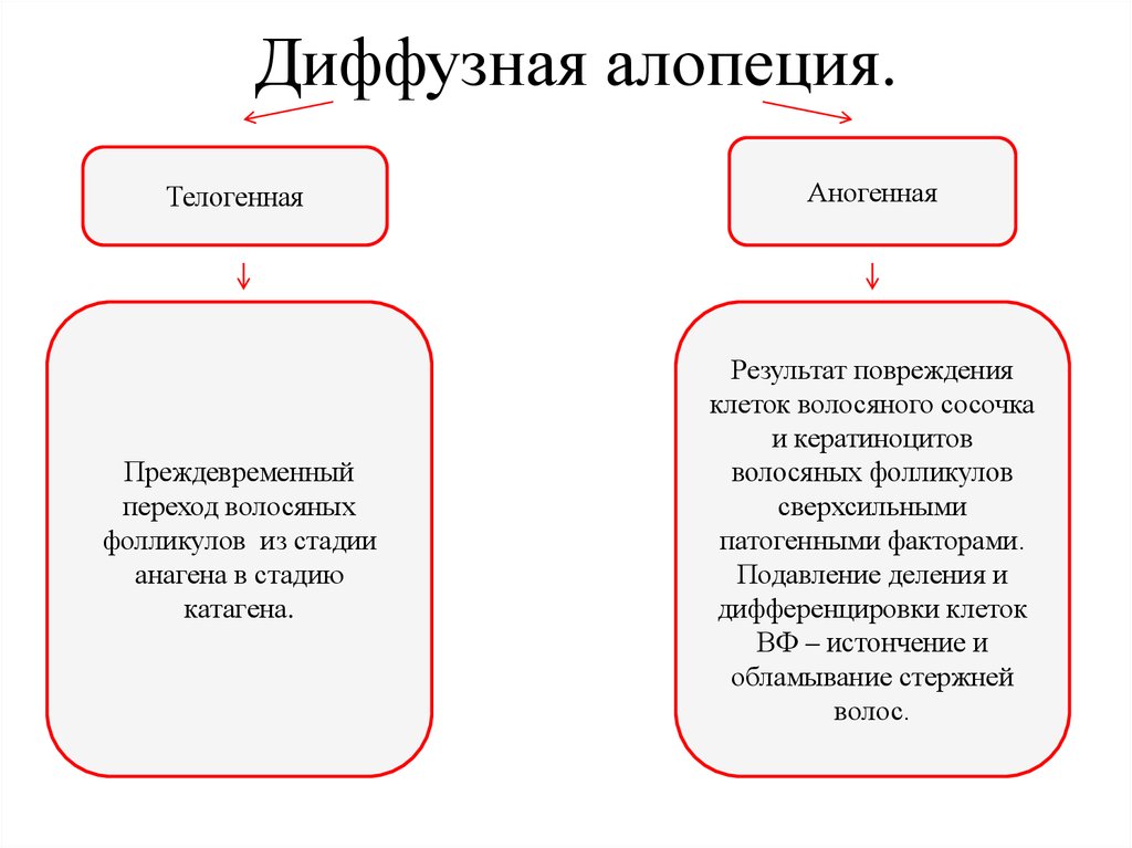 Схема лечения диффузной алопеции