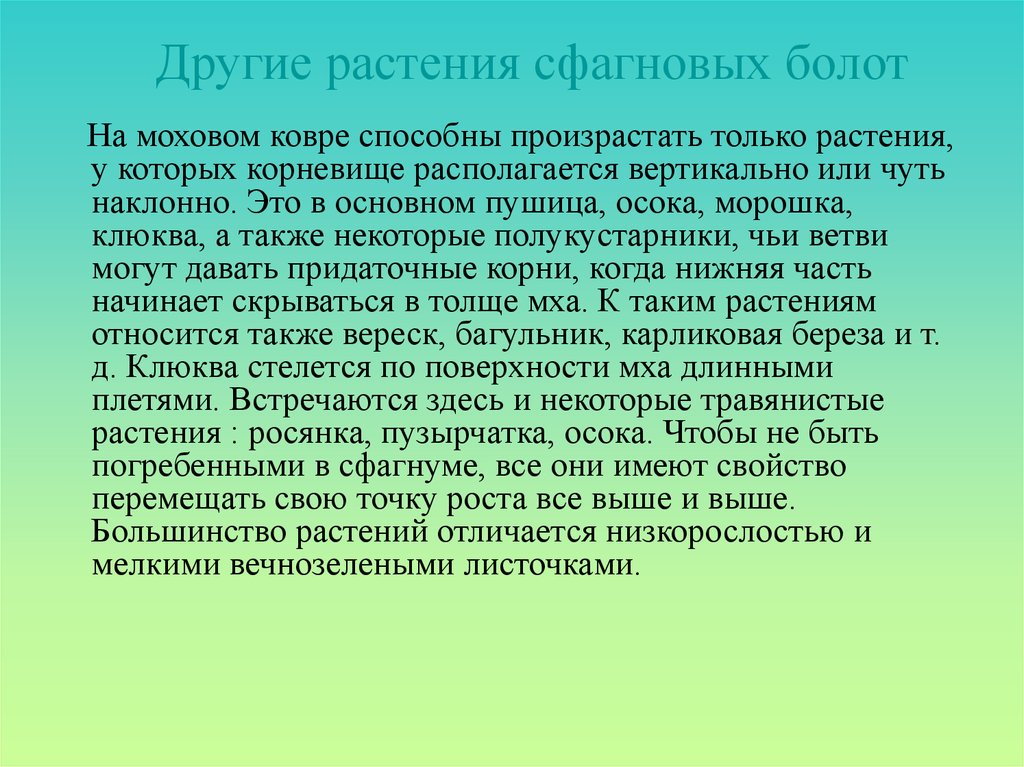 Использование болот. Сфагновое болото уровень организации живой природы. Сфагновые болота. Сфагновые болота водно-болотные угодья. Произрастает на торфяных сфагновых болотах.