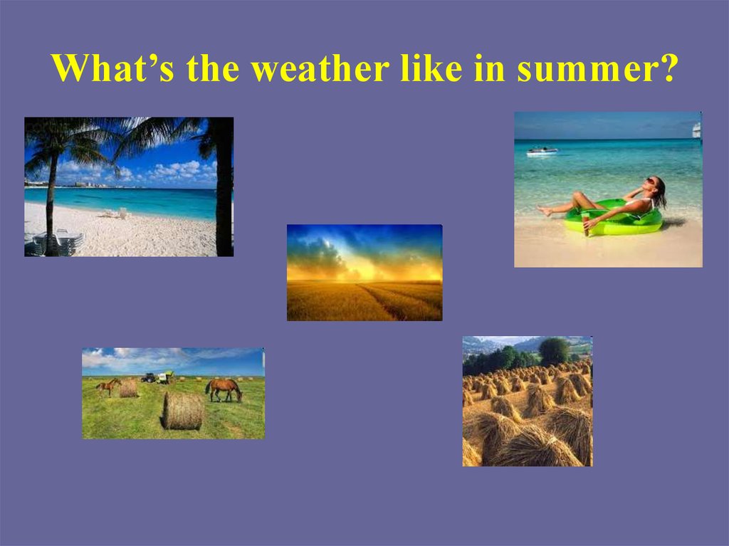 In summer we can. What do you like to do in the Summer. What did you do in Summer. What can we do in Summer. Weather презентация.