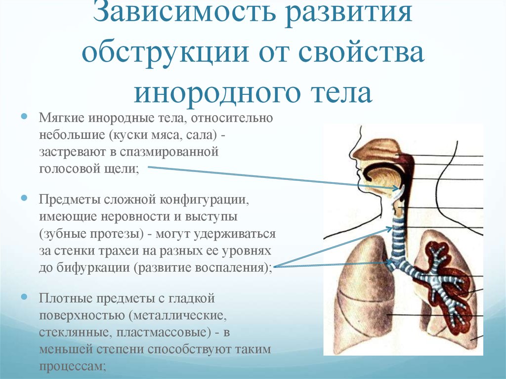 Может ли инородное тело долго находиться в дыхательных путях