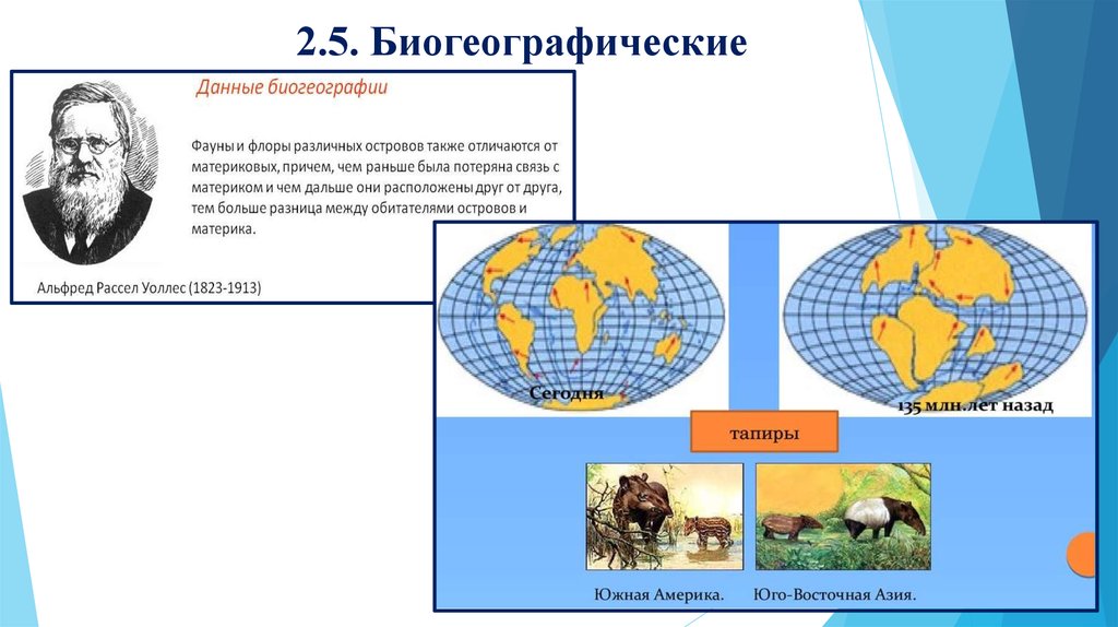 Биогеографические доказательства эволюции