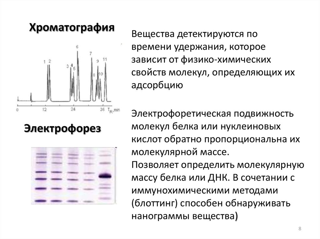 Метод хроматографии. Электрофорез метод изучения клеток. Электрофорез изучение клетки. Метод электрофореза хроматографии. Метод хроматографии метод меченых атомов.