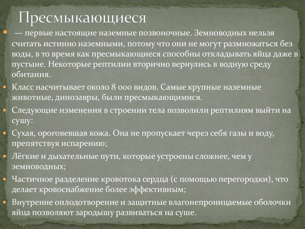 Пресмыкающиеся настоящие наземные позвоночные. Пресмыкающиеся первые настоящие наземные позвоночные. Рептилии первые настоящие наземные позвоночные проект. Первые истинные назеиные позвон. Рептилии первые настоящие наземные позвоночные доклад.