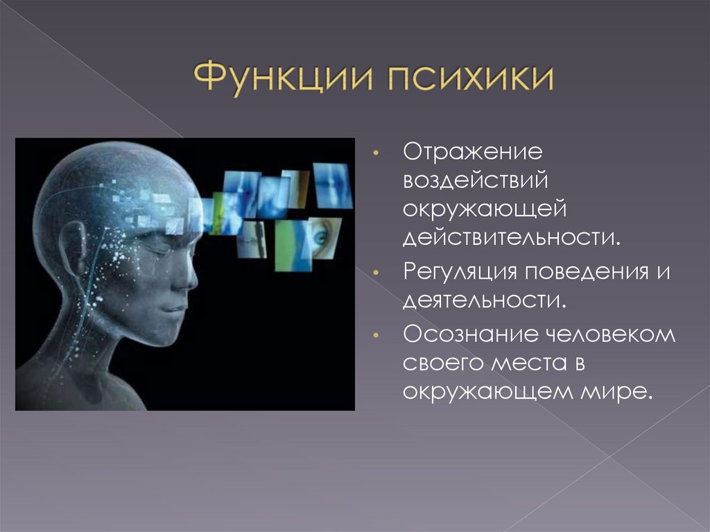 Поведение и психика человека. Отражательная и Регуляторная функция психики. Основные психические функции. Регуляторная функция психики. Психика человека.