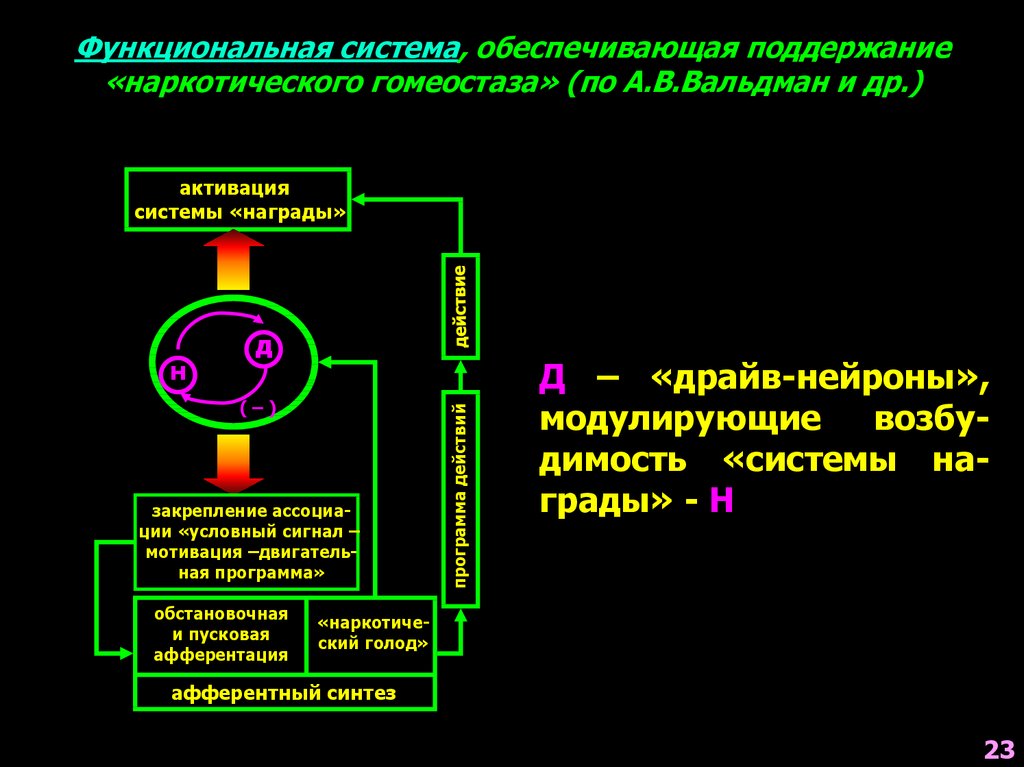 Системы обеспечивающие гомеостаз