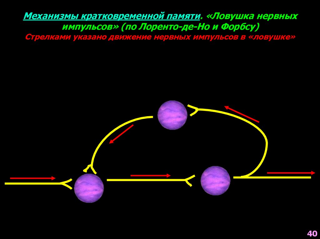 Механизмы памяти