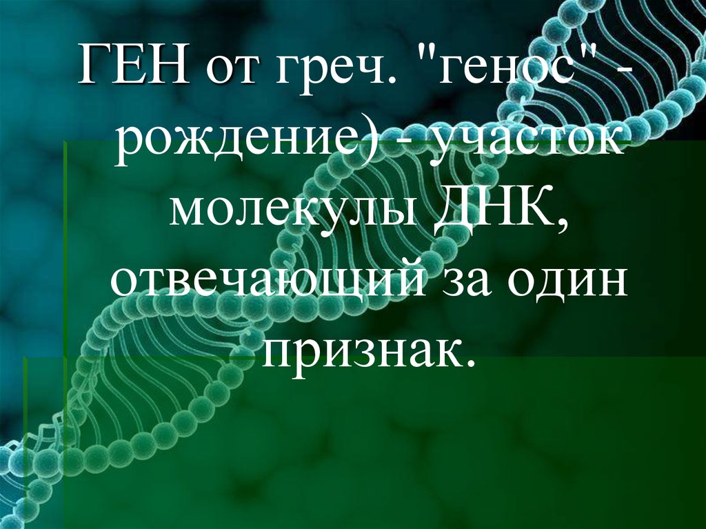 Основные понятия генетики 10 класс биология презентация