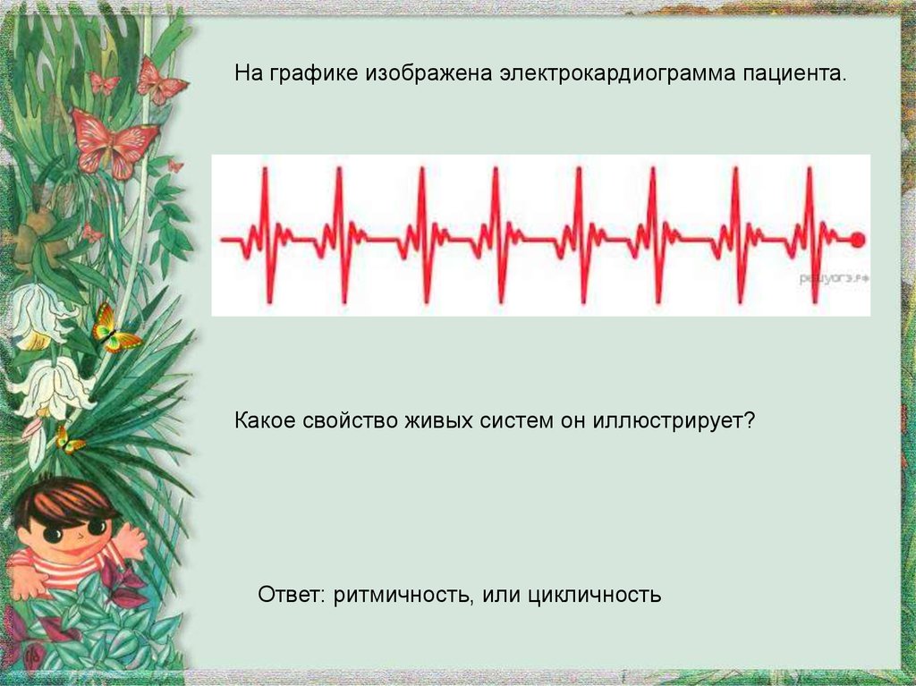 На рисунке схематично изображен механизм дыхания человека какое общее свойство живых систем