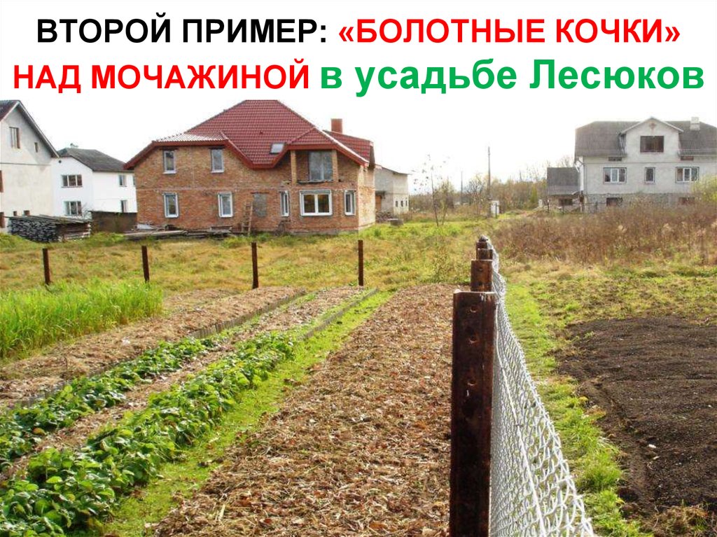 ВТОРОЙ ПРИМЕР: «БОЛОТНЫЕ КОЧКИ» НАД МОЧАЖИНОЙ в усадьбе Лесюков