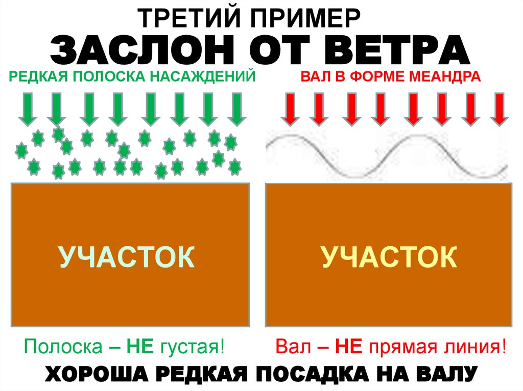 Огороду – естественное плодородие - online presentation