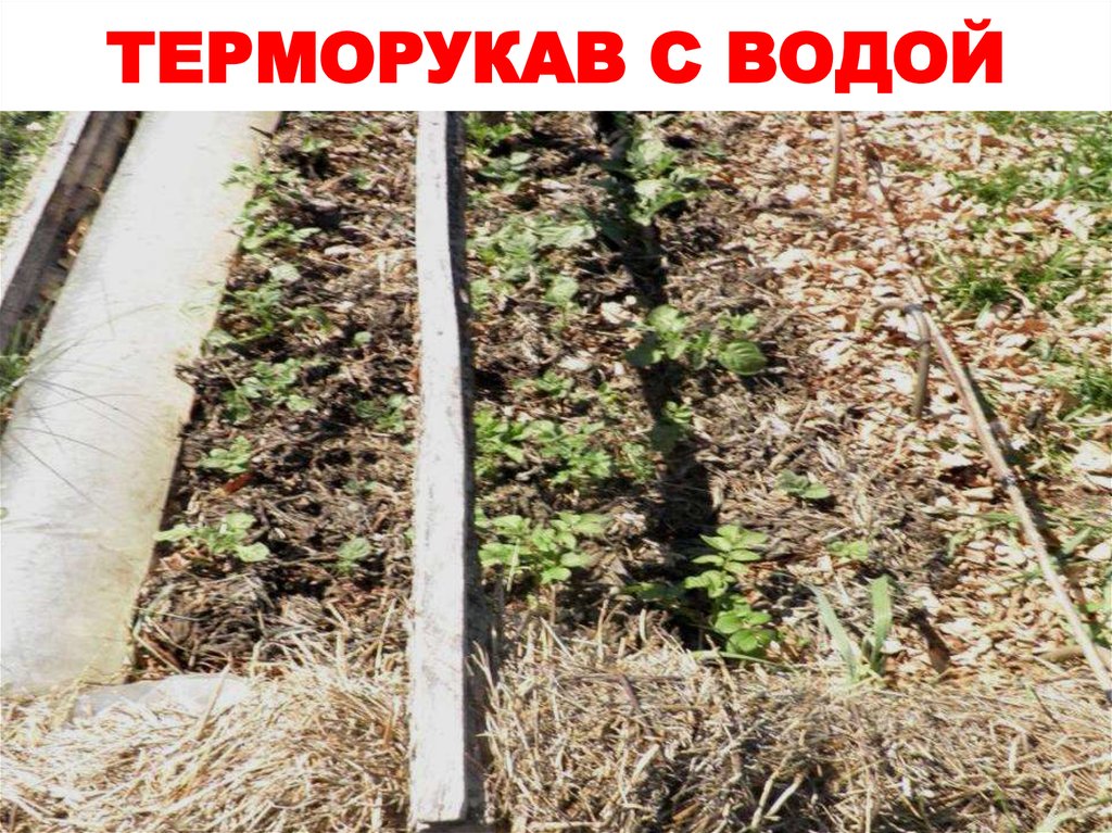 ТЕРМОРУКАВ С ВОДОЙ