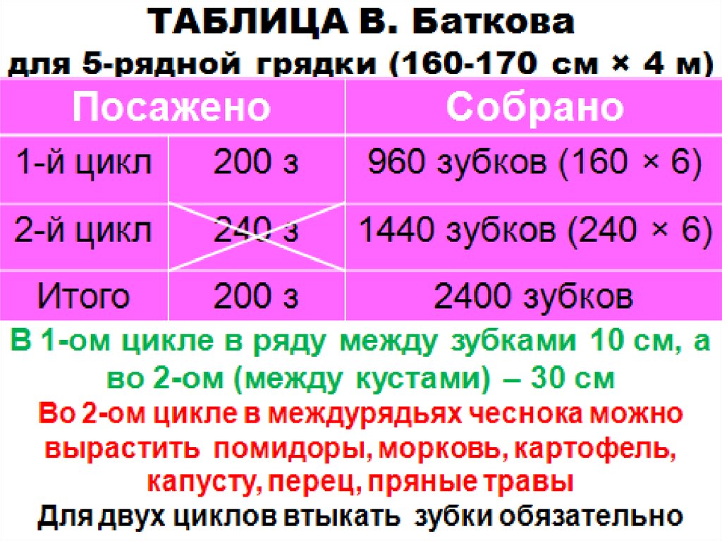 ТАБЛИЦА В. Баткова для 5-рядной грядки (160-170 см × 4 м)