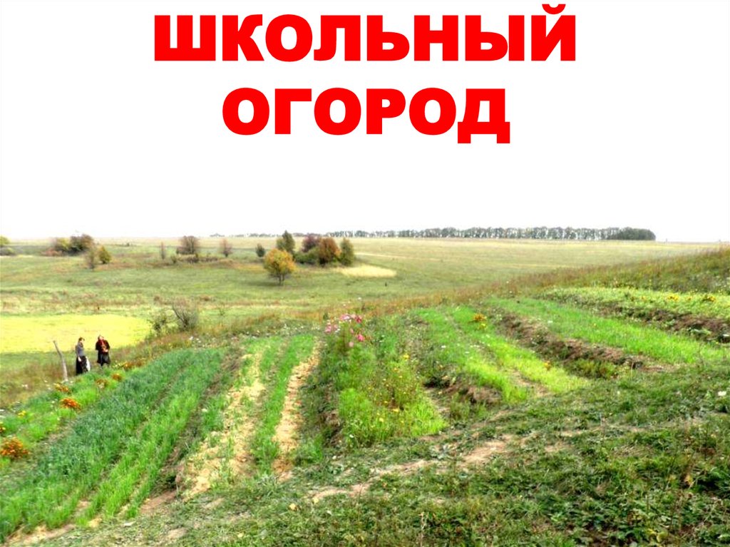 Плодородия 11