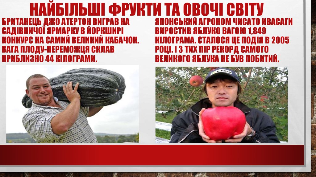 Найбільші фрукти та овочі світу