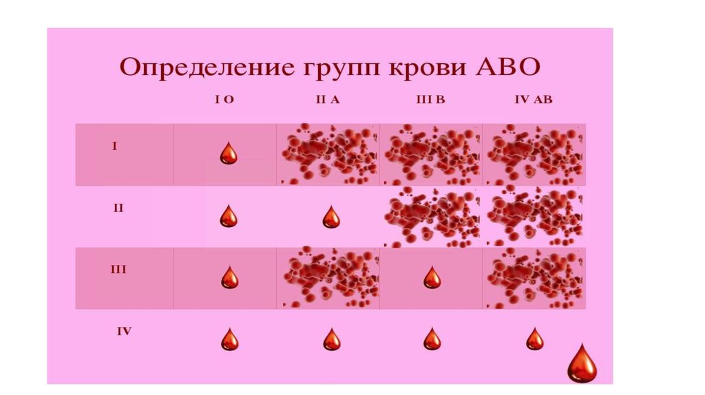 Система группы крови АВО. Генетика крови. Группы крови генетика. Группы крови генотипы генетика.
