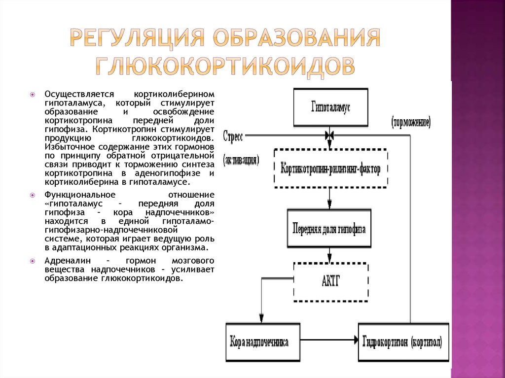 Гуморальная регуляция функций осуществляется посредством