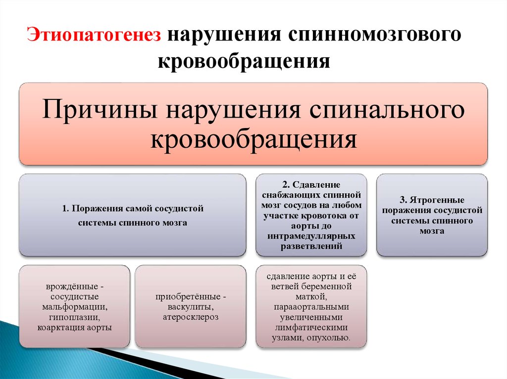 Реферат: Сосудистые поражения головного и спинного мозга