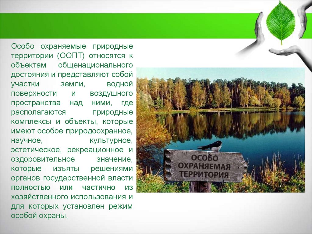 Тема особо охраняемые природные территории россии. Особо охраняемых природных территорий. Охрана природы особо охраняемые природные территории. Особо охраняемые природные территории (ООПТ). ООПТ презентация.